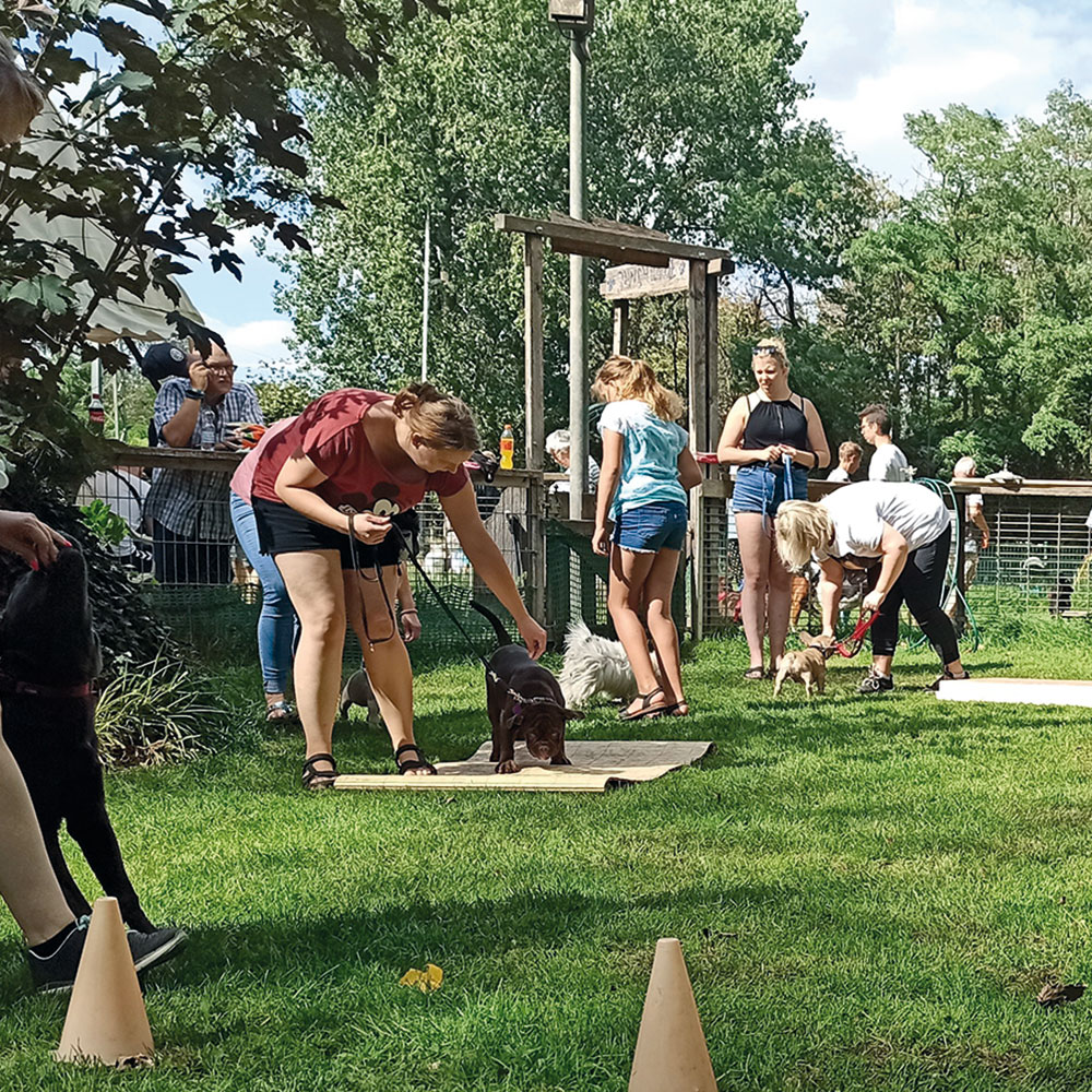 Hundeschule Duisburg – Welpengruppe